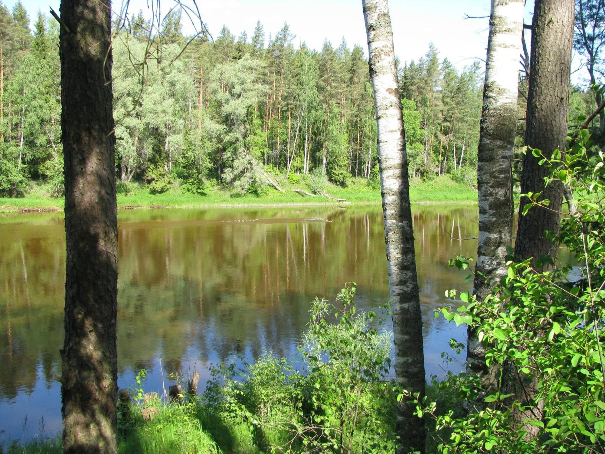 Gauja  Guest House Gaujaspriedes المظهر الخارجي الصورة